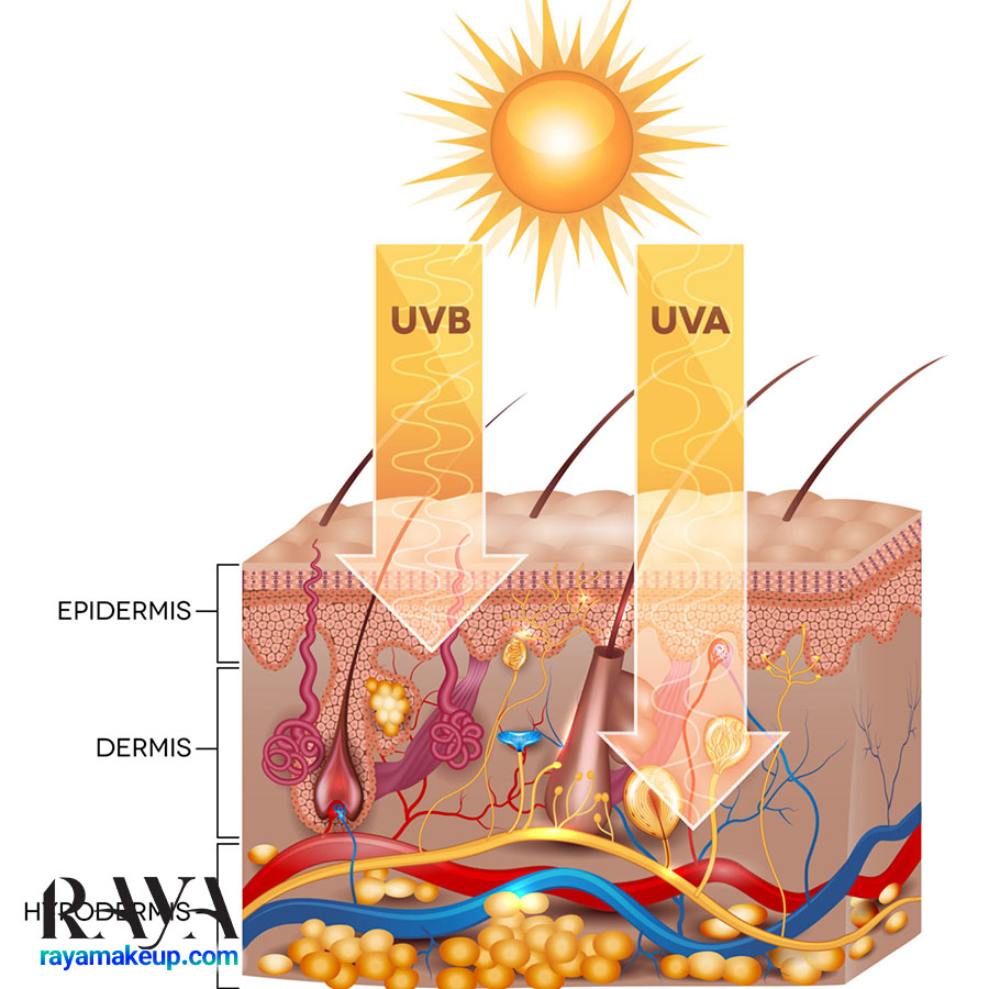 بررسی تفاوت بین اشعه های UVA و UVB نور خورشید 